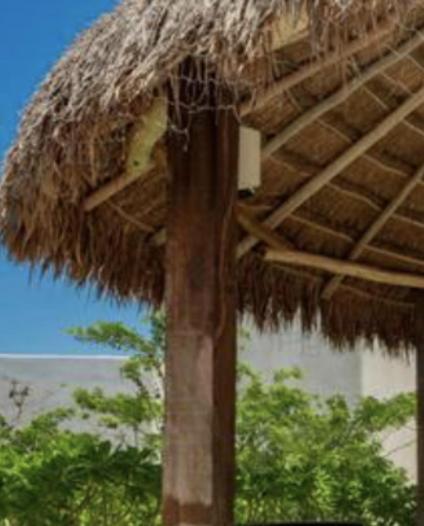 Niwa Tulum Hotel Екстериор снимка